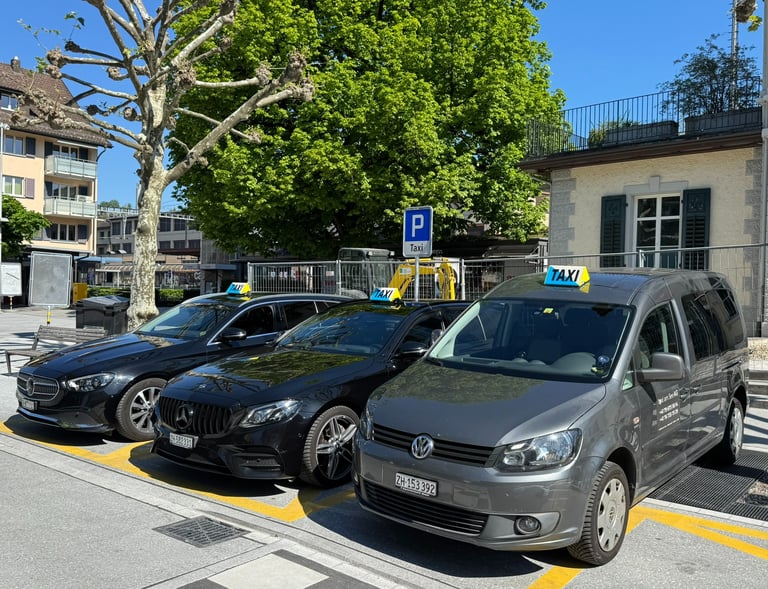 Three taxicars. One grey VW Caddy and two black Mercedes E-Classes parked on a swiss mainstation.