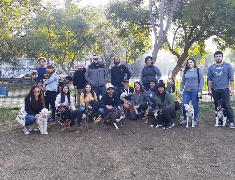 grupo socialización Santiago