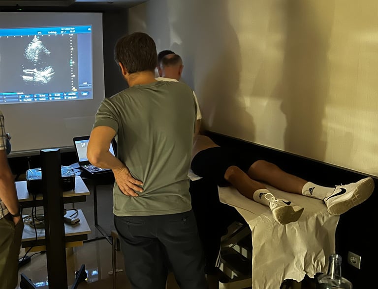 Taller de Ecografía de Urgencias. Búsqueda de las diferentes ventanas cardiacas básicas