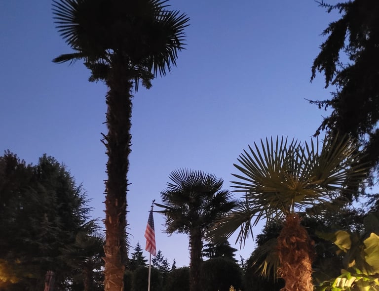 windmills in america