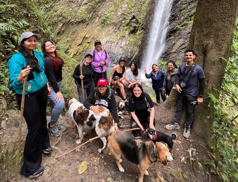 Un grupo de excursionistas y sus perros posan para una foto frente a una alta cascada tropical 
