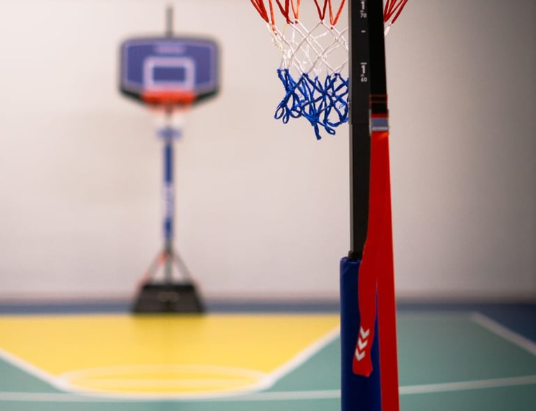 Canestro da basket nell'area multisport della palestra Move 2 Grow a Milano, con campo colorato sullo sfondo.