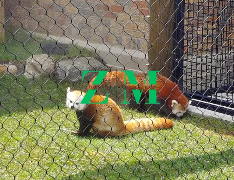 Two red pandas resting on green grass behind a black zoo mesh enclosure fence.