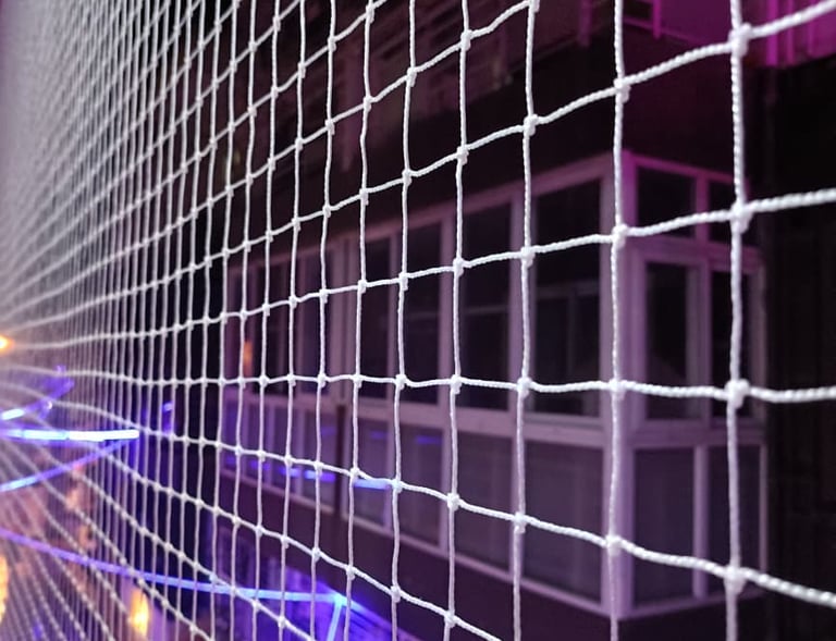 Wide shot of a residential building in Bengaluru with pigeon safety nets covering all open spaces to