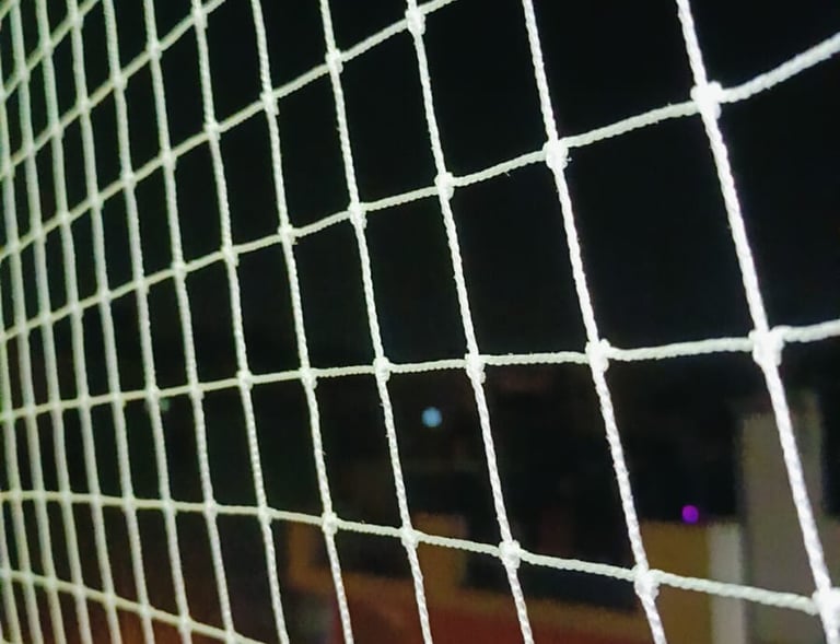 Before and after comparison showing a balcony without and then with the pigeon safety net installed.