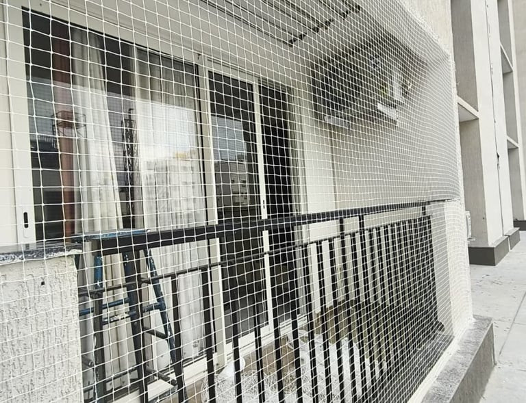 Detailed shot of the fine mesh used in the pigeon net, designed to keep birds out without blocking l