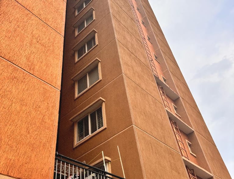 Wide shot of a commercial building's exterior wrapped with protective pigeon netting by Arjilli Ente