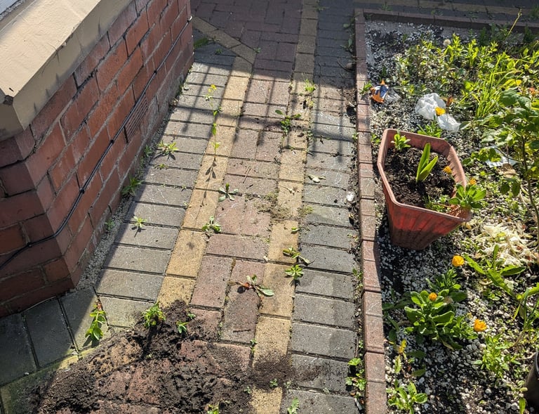A brick patio walkway with scattered garden soil and weeds next to a planter box.