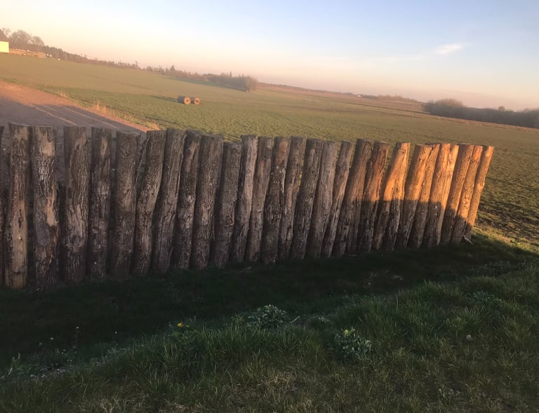 Olgersdiget