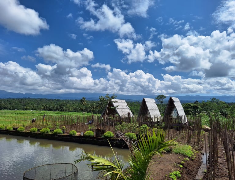 A photographer photographed the cottage in the garden. with a cloudy blue sky as a background
