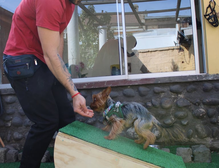 Clase Propiocepción en ñuñoa