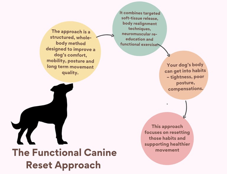 a dog is shown with a plan of the approach i use in canine physiotherapy in cornwall for exercises