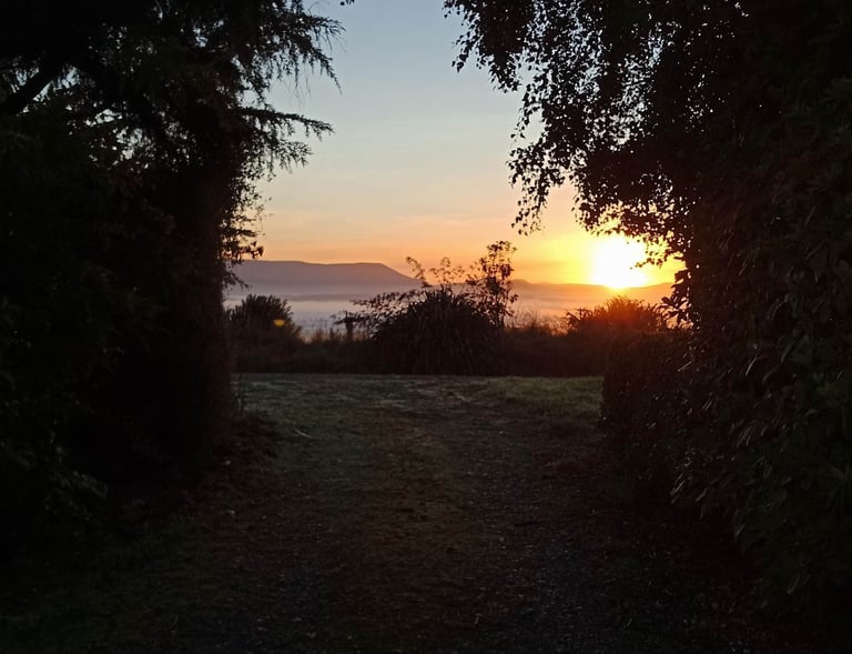 Sunrise on a Southland farm