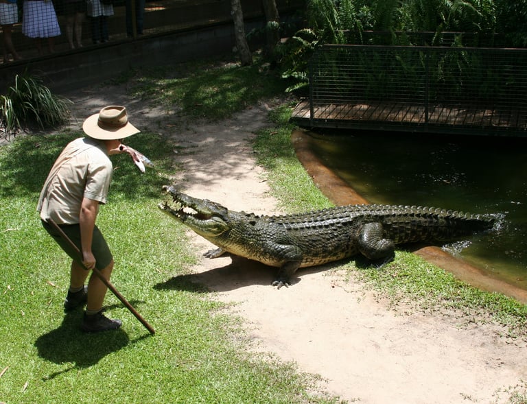 A hungry salty could not be missed.