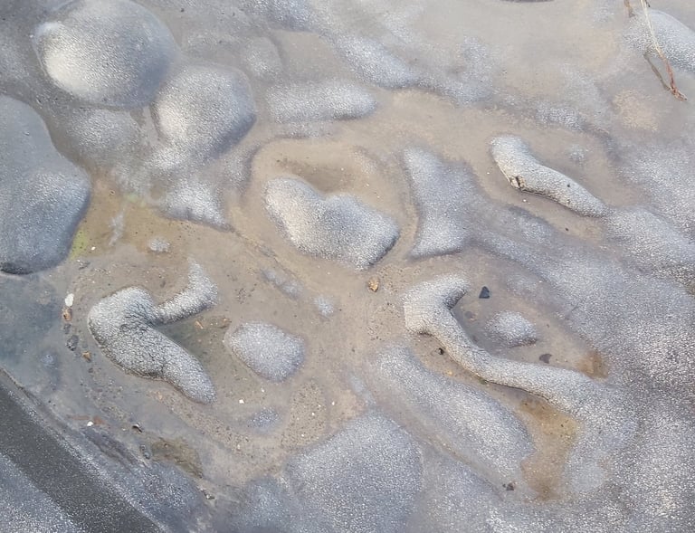 Flat Roof survey Mastic Asphalt issues blistering trapped moisture Co. Offaly 