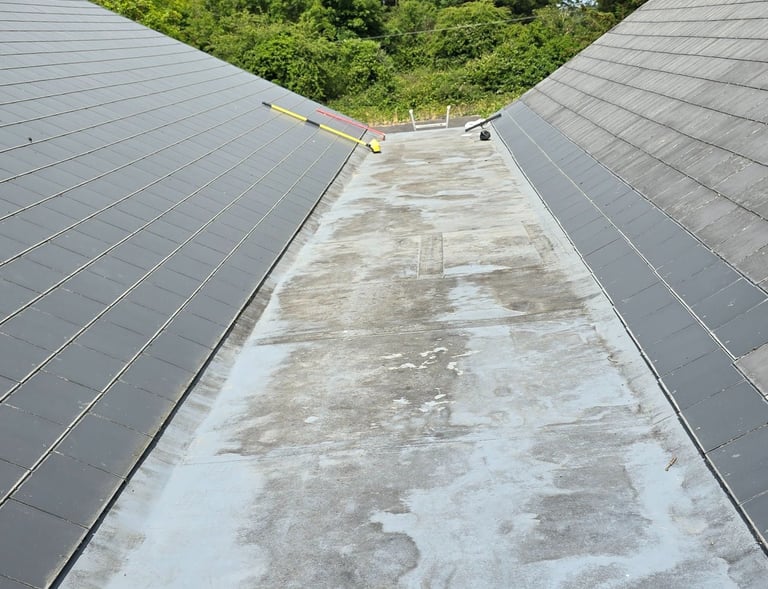 Flat Roof Survey School Single Ply PVC ventilation issues condensation roof build up Co. Galway