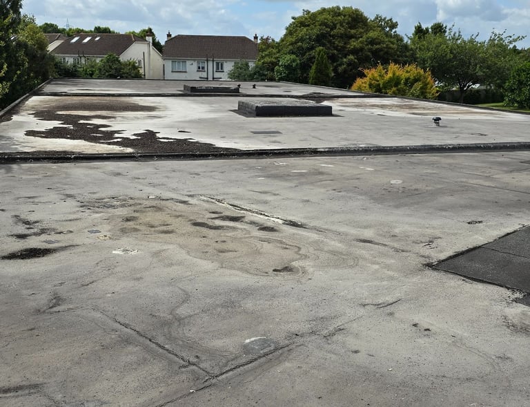 Roof Survey Flat Roof Mastic Asphalt School Lucan Co. Dublin