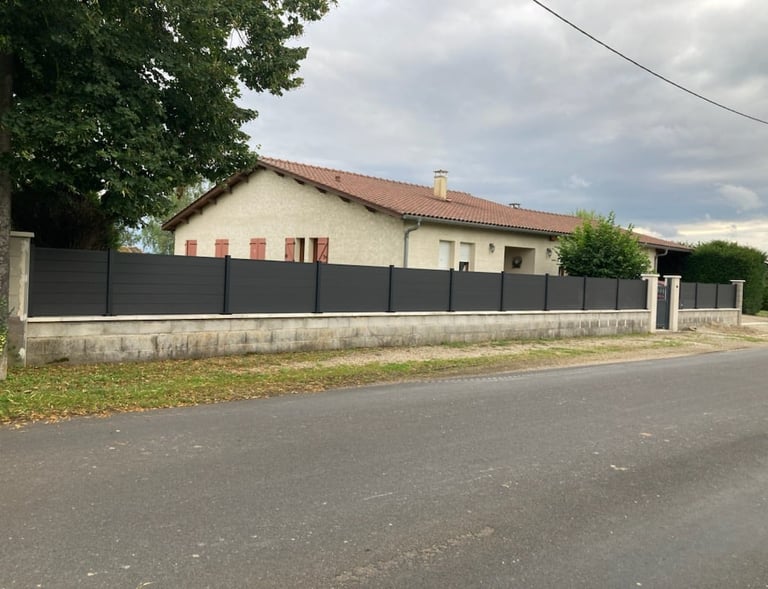 Maison moderne avec clôture en aluminium noir