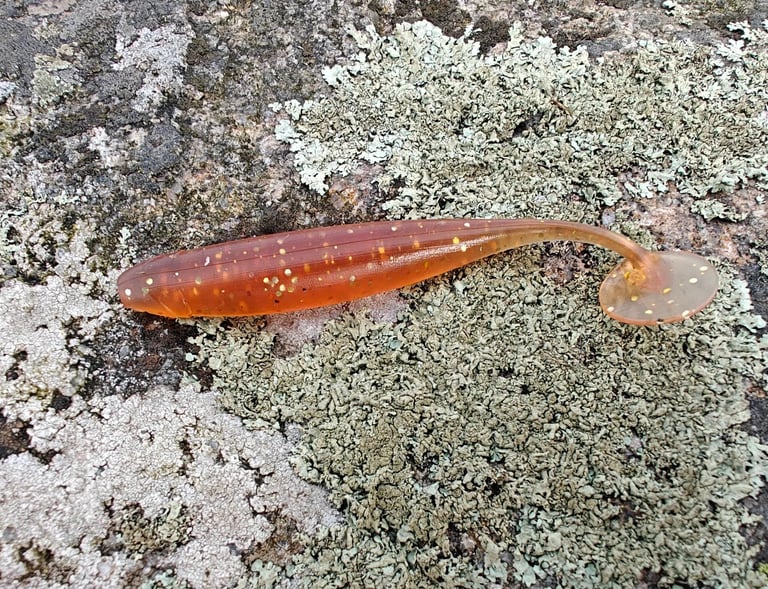 soft plastic lure
