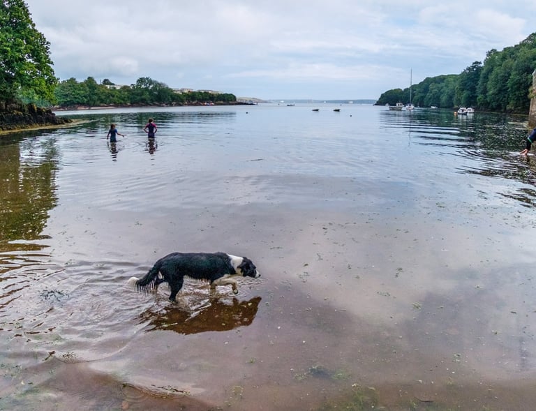 Sandy Haven bay st ishmael's 