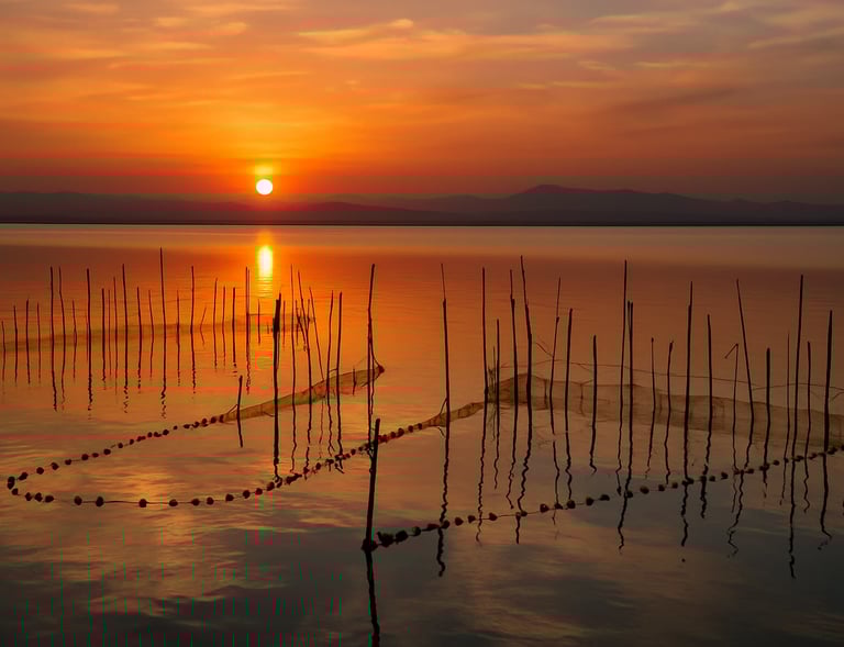 Puesta de sol en la albufera de Valencia
