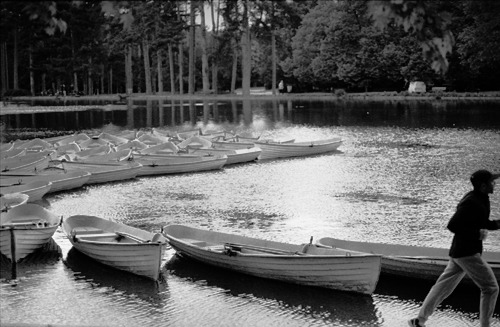 Petits bateaux à louer, Bois de Boulogne à Paris