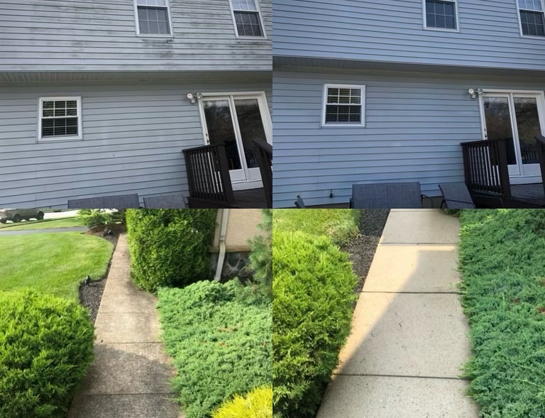 Pressure and soft washing of home, concrete, patio, fence.