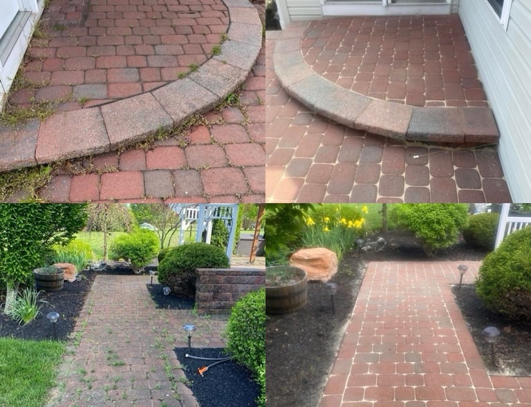 Pressure washing brick pavers, then replacing polymeric sand and sealing.