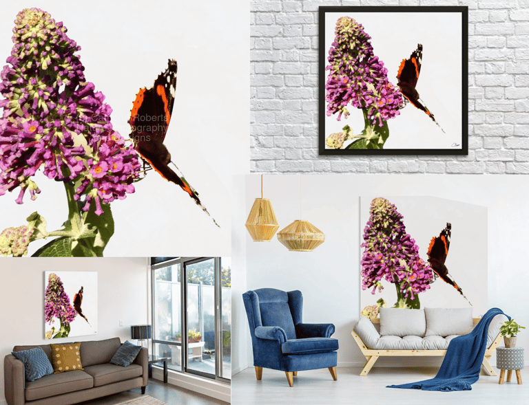 Digital image featuring a Butterfly on a Buddleia Bush with a pale background.