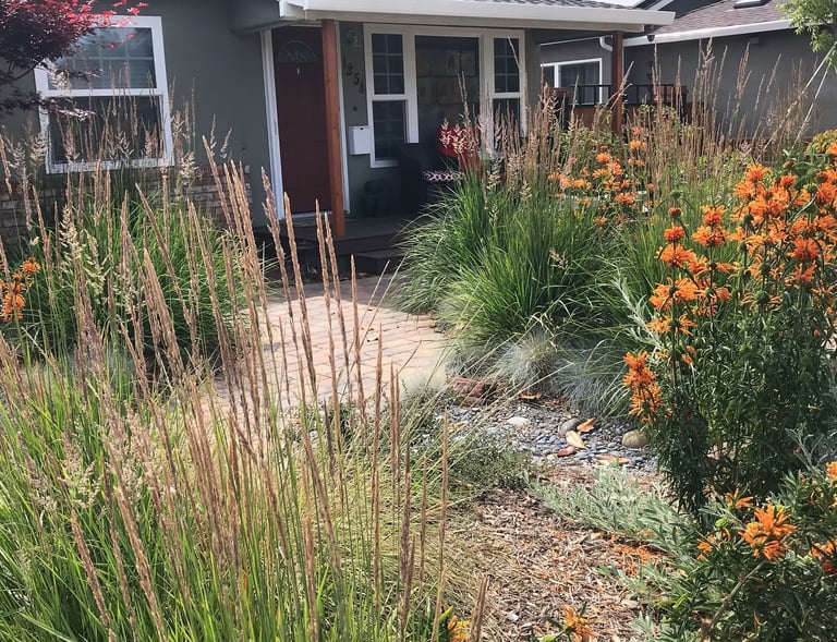 Santa Clara front yard intersected with the walkway and dry creek full of pollinator friendly plants