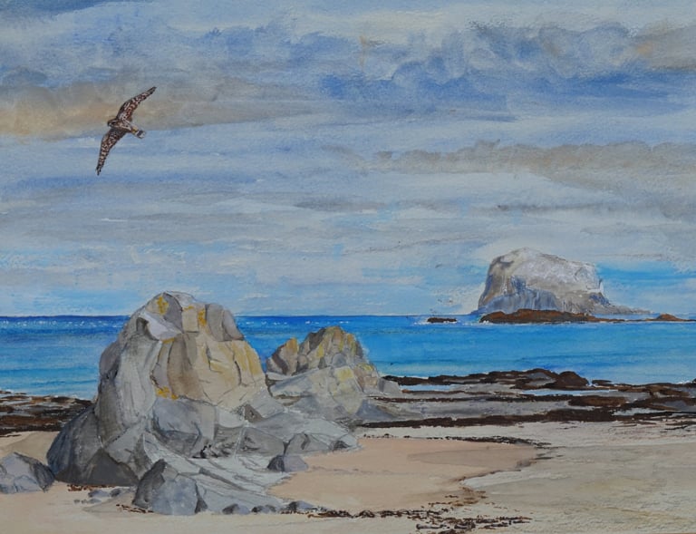 Bass Rock with merlin