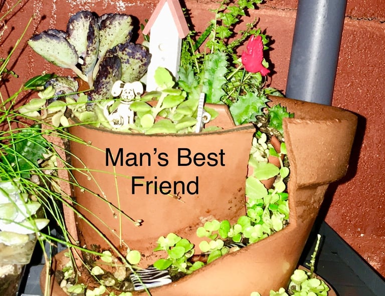 What to do with broken Terra Cotta Pots