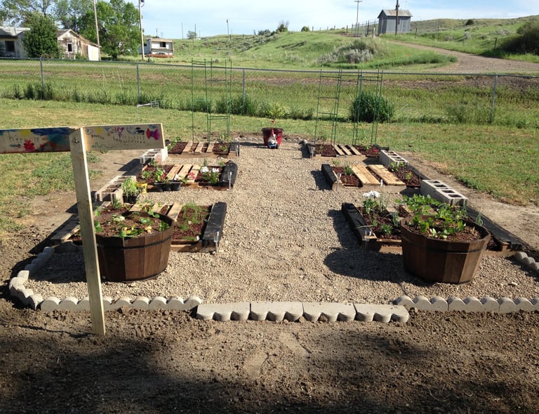 A family's first garden using untreatred pallets