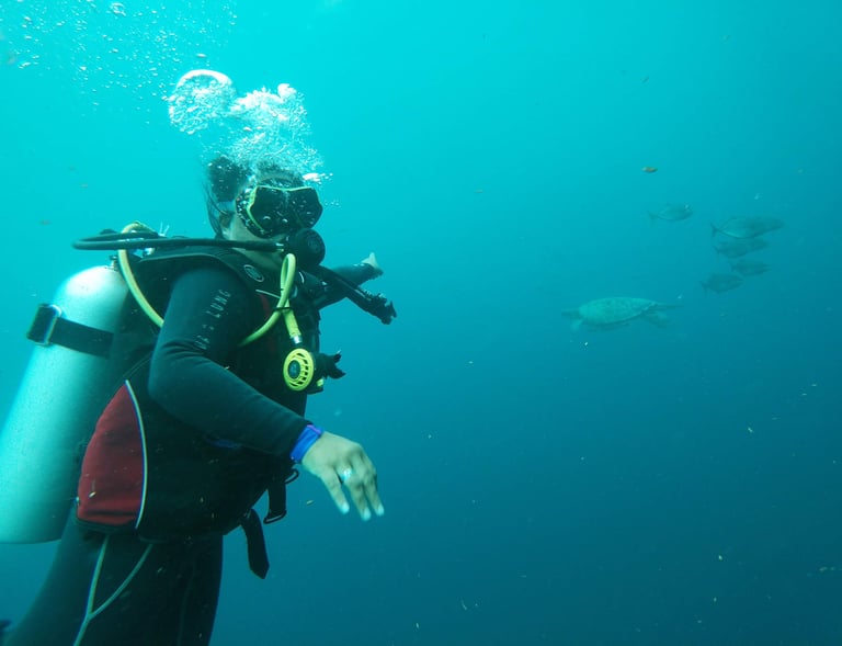 scubadivin girl greets the turtles