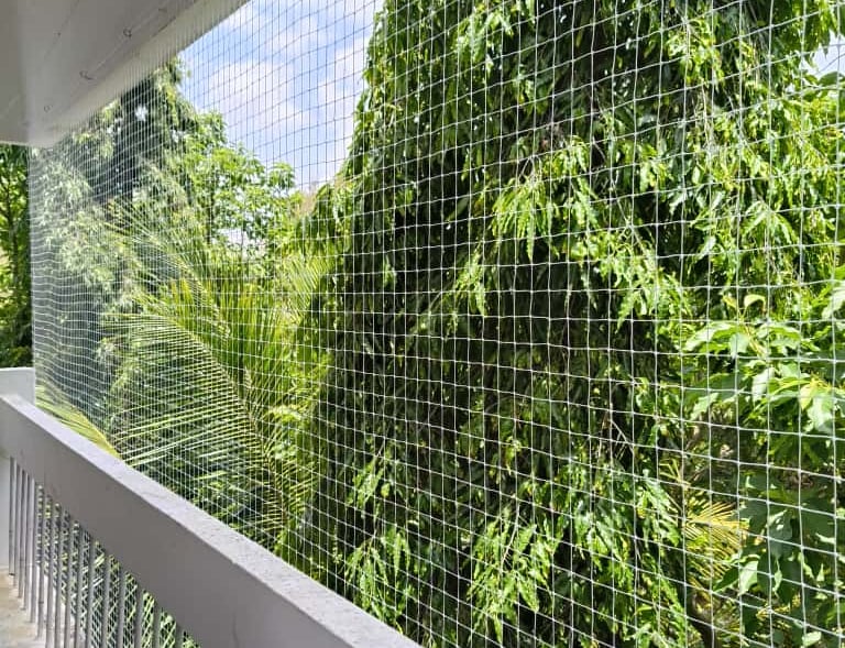 Pigeon netting stretched tightly over a large window, protecting the space from birds.