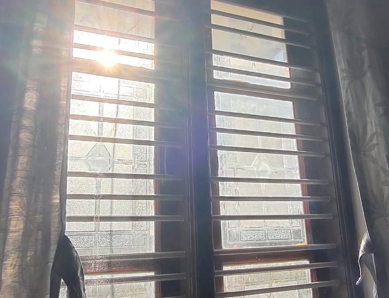 A window in KR Puram fitted with a mosquito net, sunlight filtering through the fine mesh.