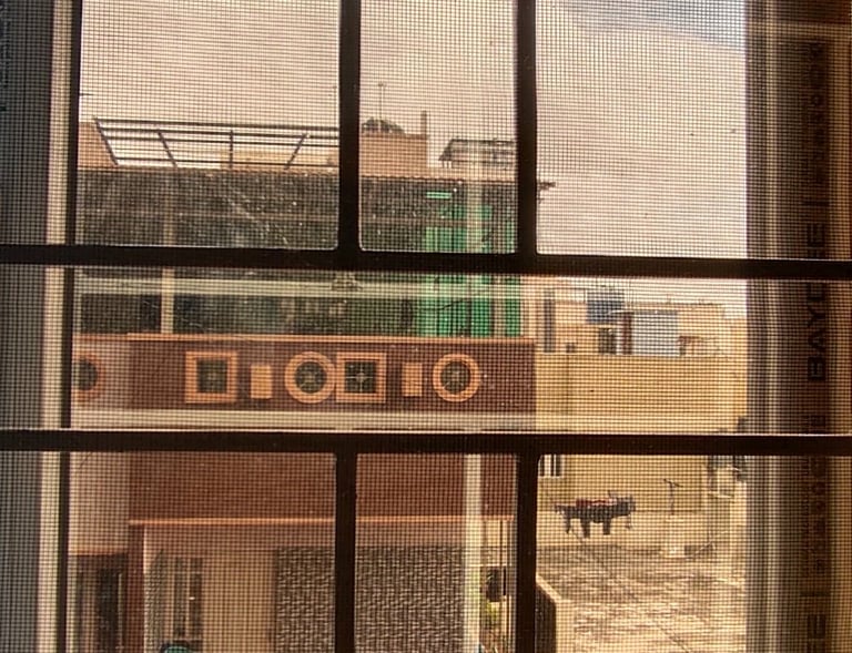 A balcony framed by a clean, taut mosquito net with a cityscape in the background.