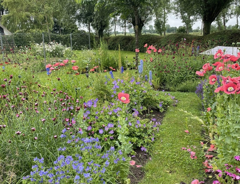 regenerative landscape architect design