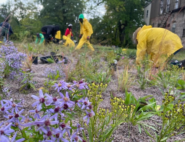 installing native beauty together in the rain