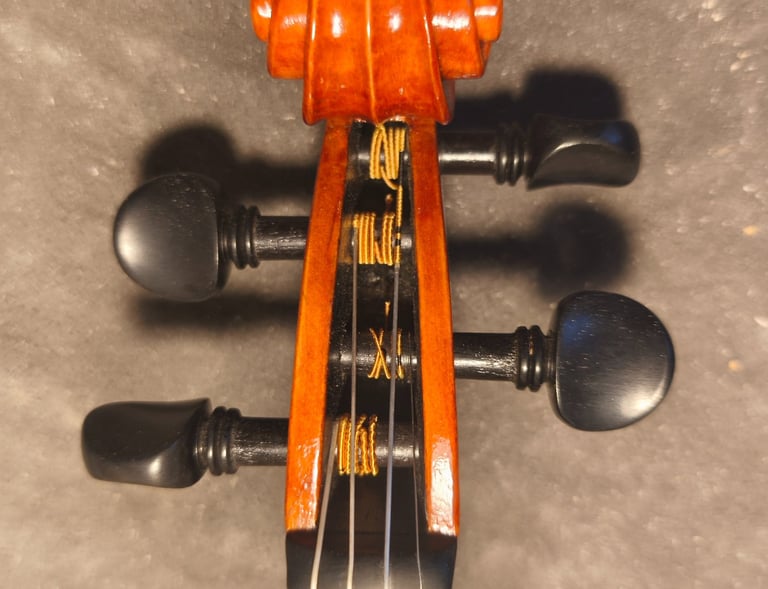 Riccio Violino - Violin Scroll