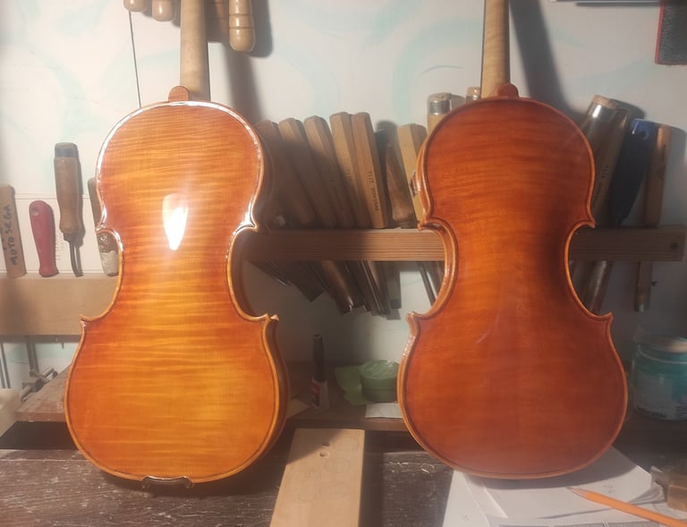 Fondi Violini - Violin Back
