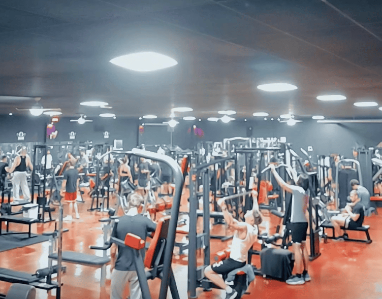 Spartan Gym Musestre