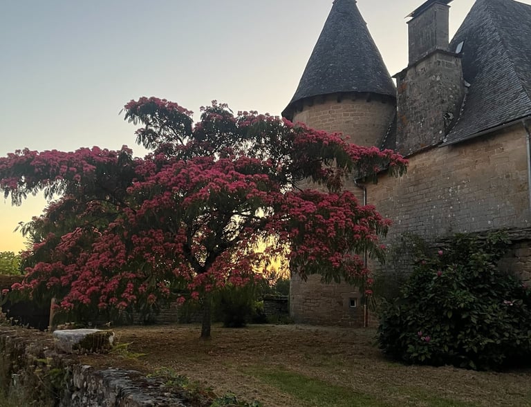 17th century chateau in Affieux