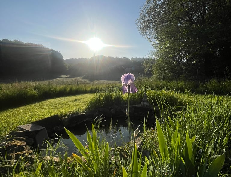 Our pond with stunning views