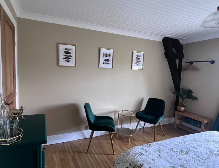 stylish, velvet chairs and hanging rail for clothes