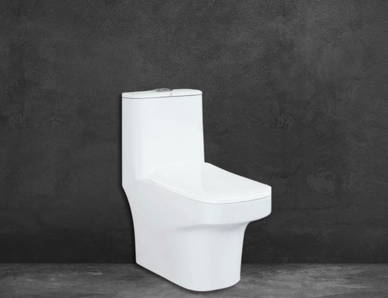 ONE PC COMMODE FROM CHEETAH BATHWARES