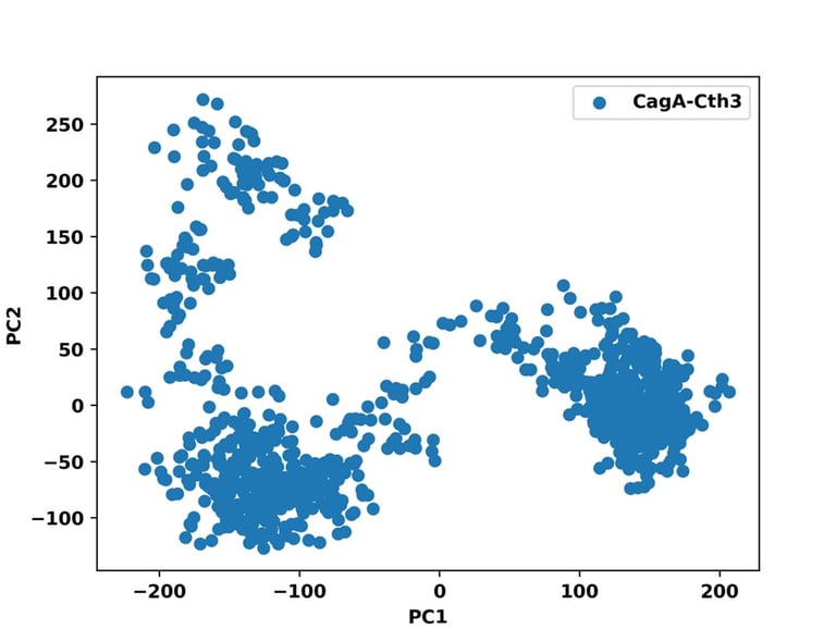 PCA scatter plot representing biological data clusters for bioinformatics research at Vitromics Biol