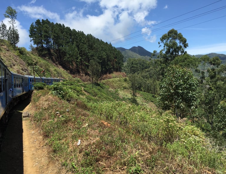 Booking tour to Ella from Ceylon Tour Way