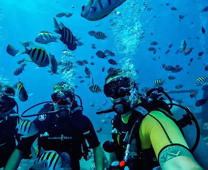 Scuba diving adventure in Bayahibe with Pac Tour Excursions Bayahibe