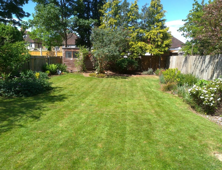 Mowed green lawn in a suburban backyard garden with flower beds, trees, and a wooden shed.